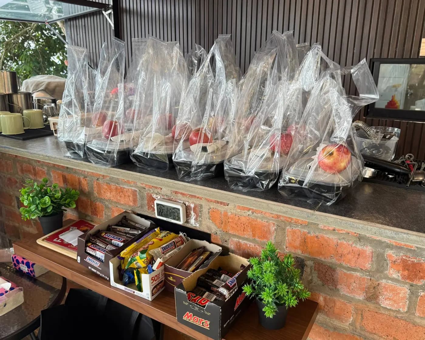 Packed meals with apples and chocolate bars lined up for climbers